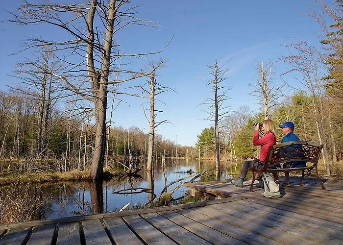 Taboo Muskoka